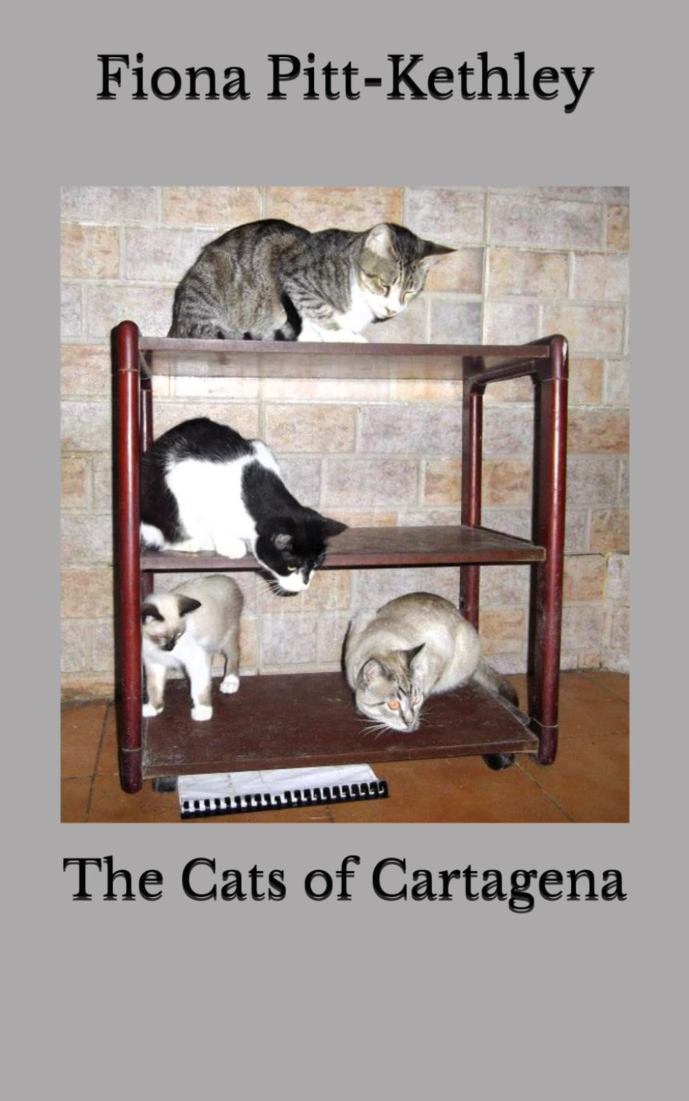 The Cats of Cartagena