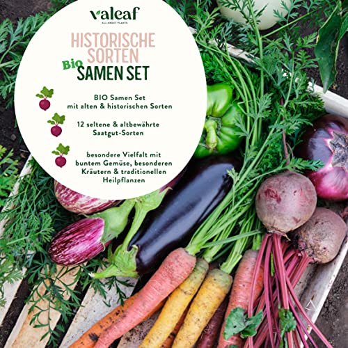 valeaf BIO Historisches Gemüse Samen Set I Seltene u. alte Gemüsesorten Samen im Gemüsesamen Set I Gemüse Anzuchtset I samenfestes Saatgut I Samen Gemüse als Gemüse Samen Set I tolles Garten Geschenk