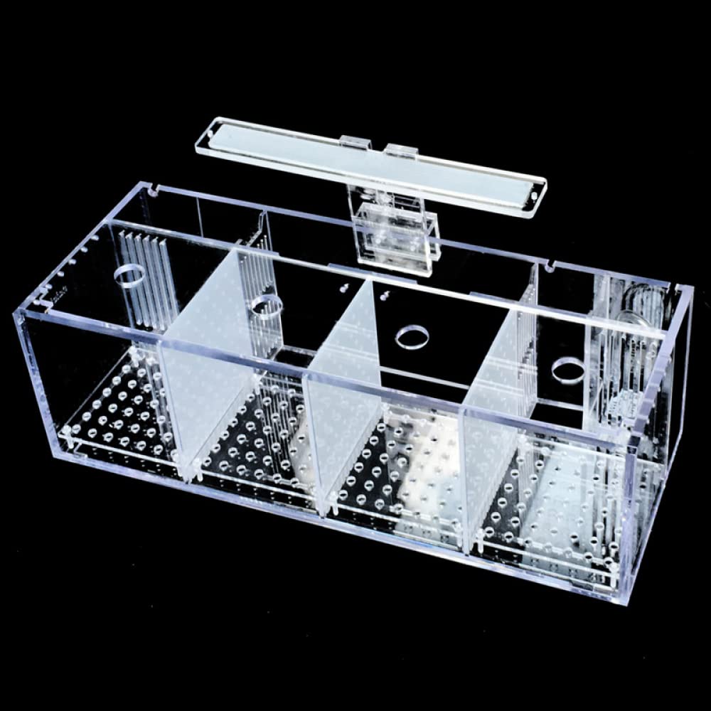 Siqi Betta Fish Tank Materiale acrilico Mini Desktop Aquarium Goldfish Mini Fish Tank Stanza di isolamento per pesci malati, con filtro per pompa dell'acqua, illuminazione (4 spazio reticolo)