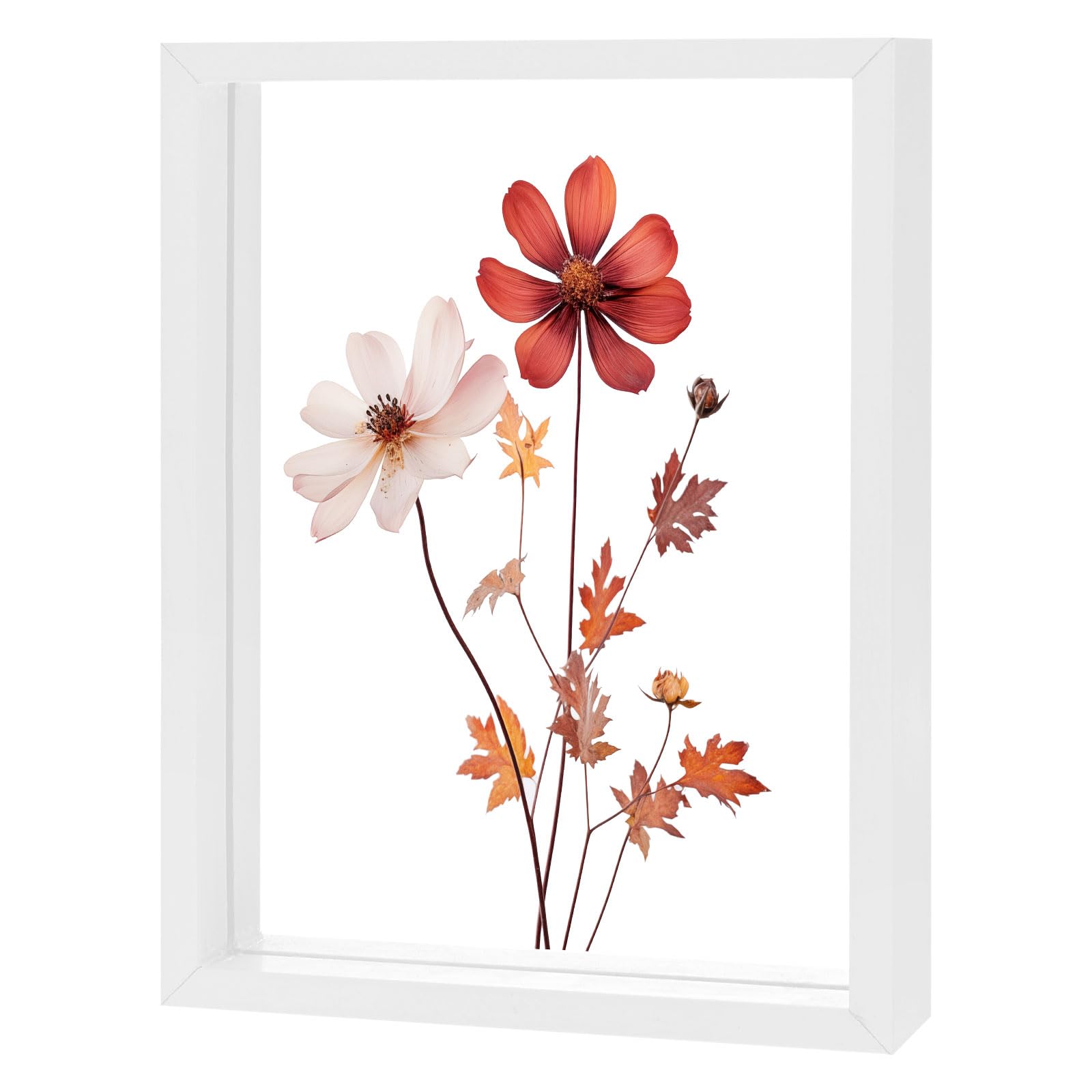 M METERXITY Wooden Pressed Flower Frame, 6 x 8 Inch Double Acrylic Floating Picture Frame for Dried Flowers/Tabletop/DIY/Handicrafts [White]