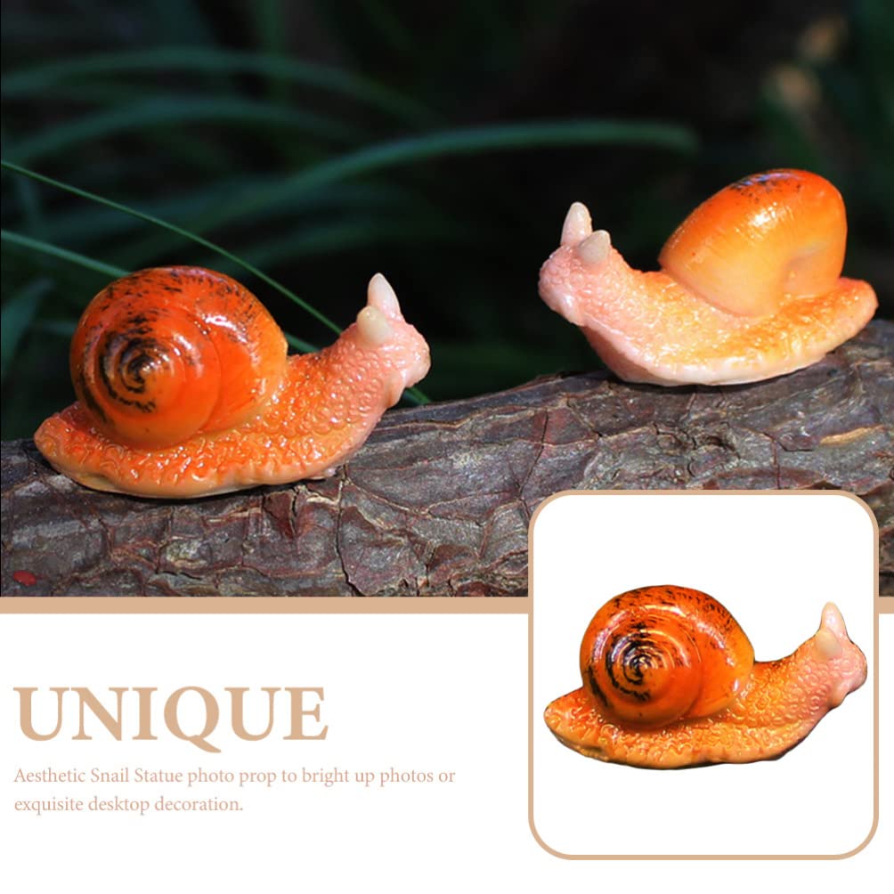 Décoration Maritime Décoration Coquilles D'escargots Rose Trochus Maculatus 1100gr Fr 23816