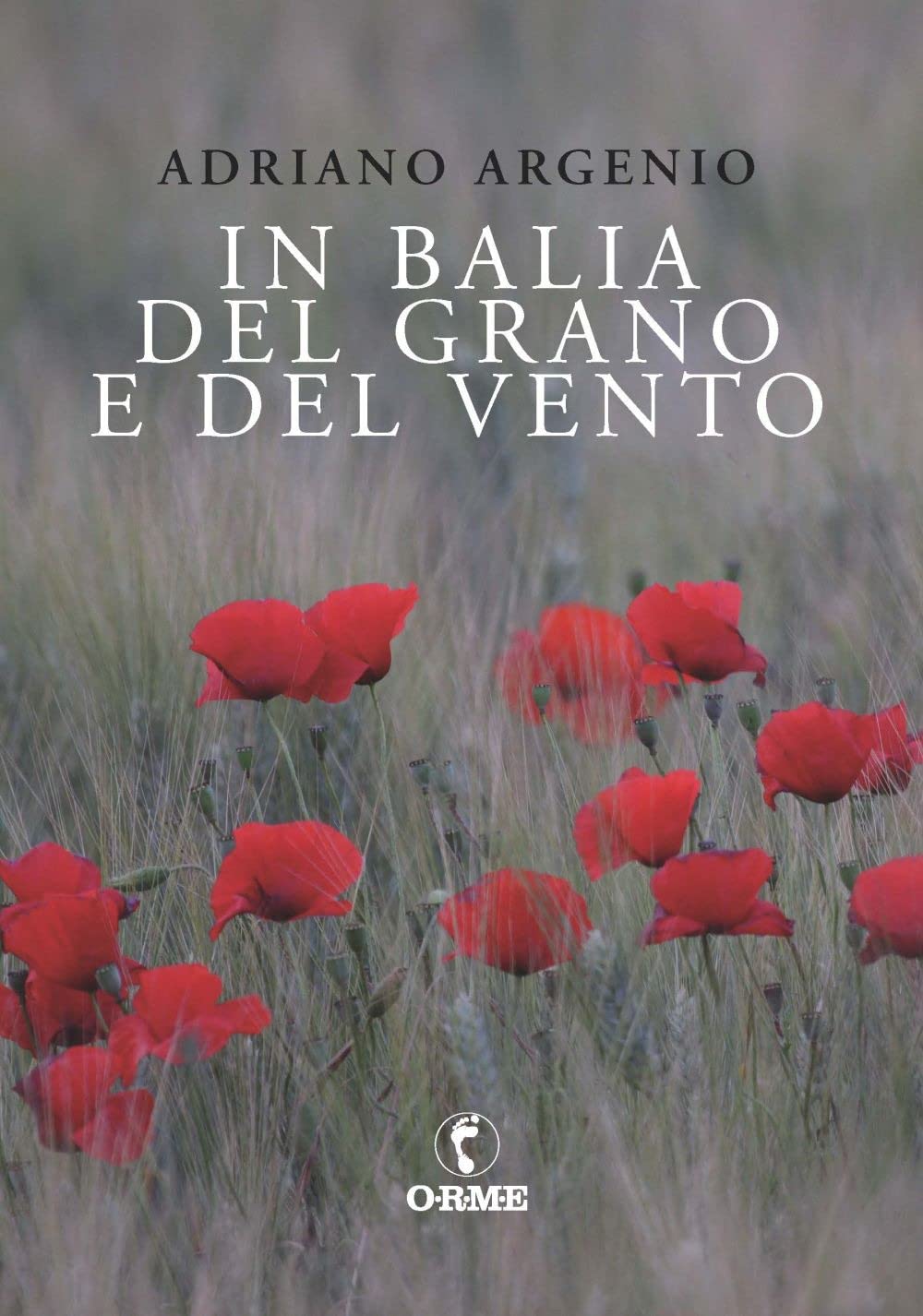 In Balia Del Grano E Del Vento - 4
