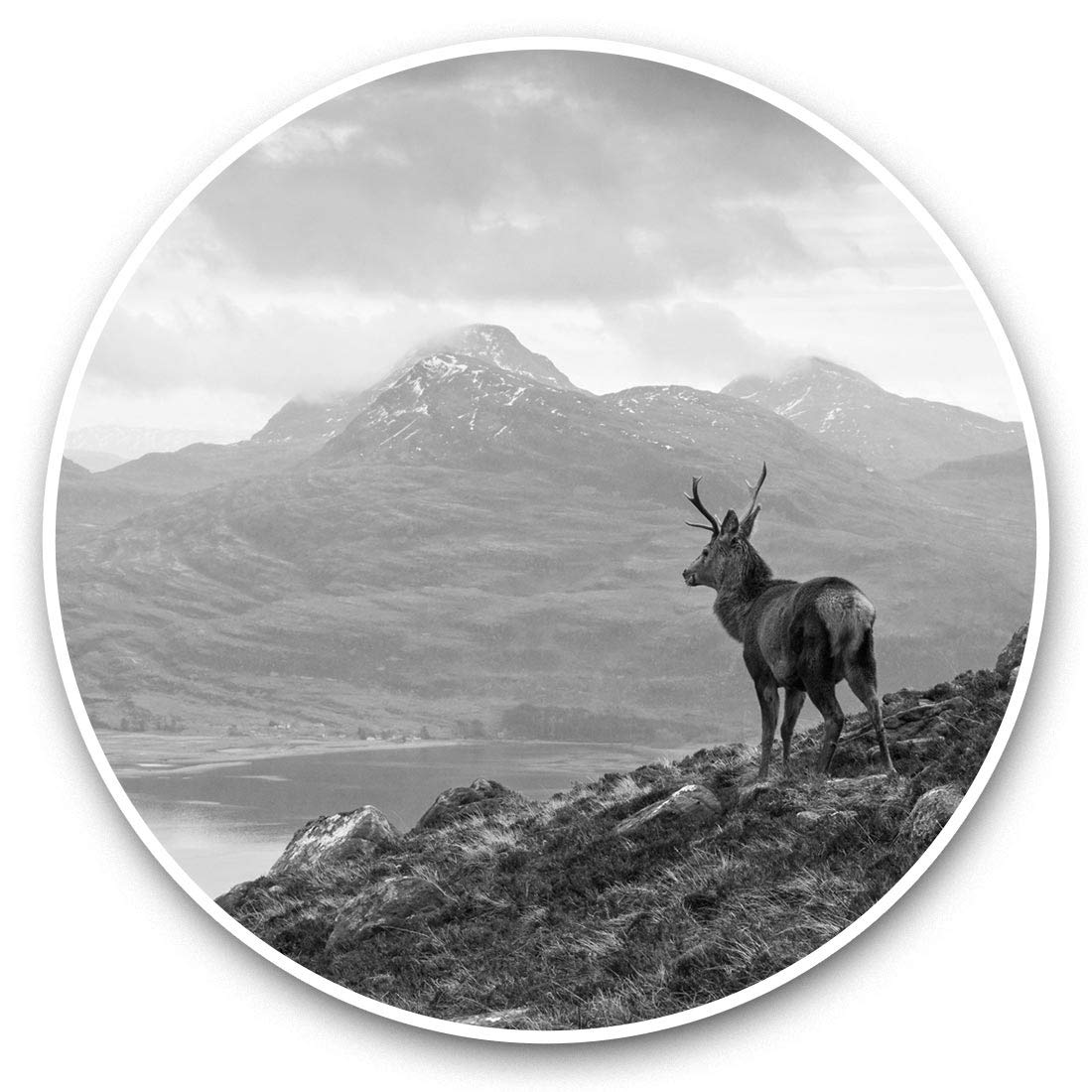Awesome Vinyl Stickers (Set of 2) 7.5cm (bw) - Wild Stag Loch Torridon Scotland Fun Decals for Laptops,Tablets,Luggage,Scrap Booking,Fridges #36976
