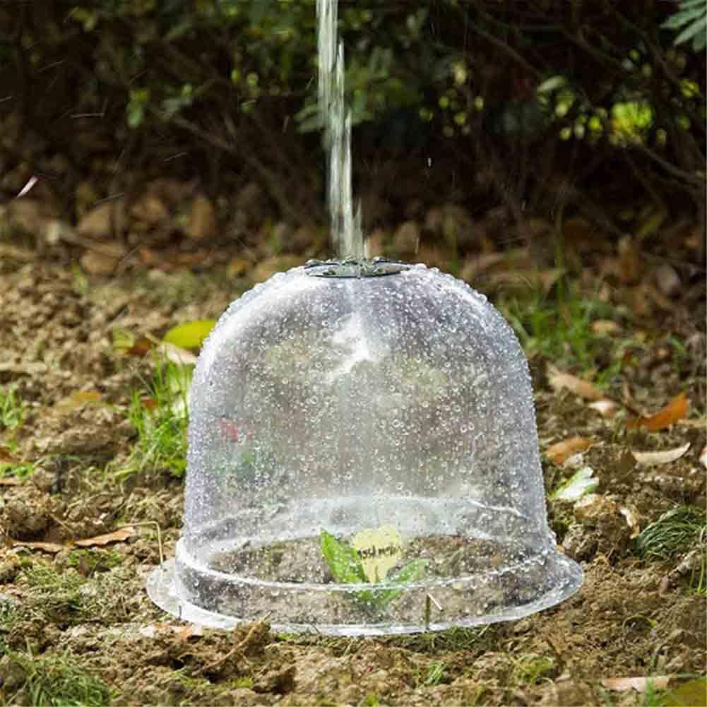 Campana para Plantas de Jardín, Tapa de Campana en Forma de Cúpula Transparente para Plantas, Campanas de propagación 6 Piezas para Calentamiento