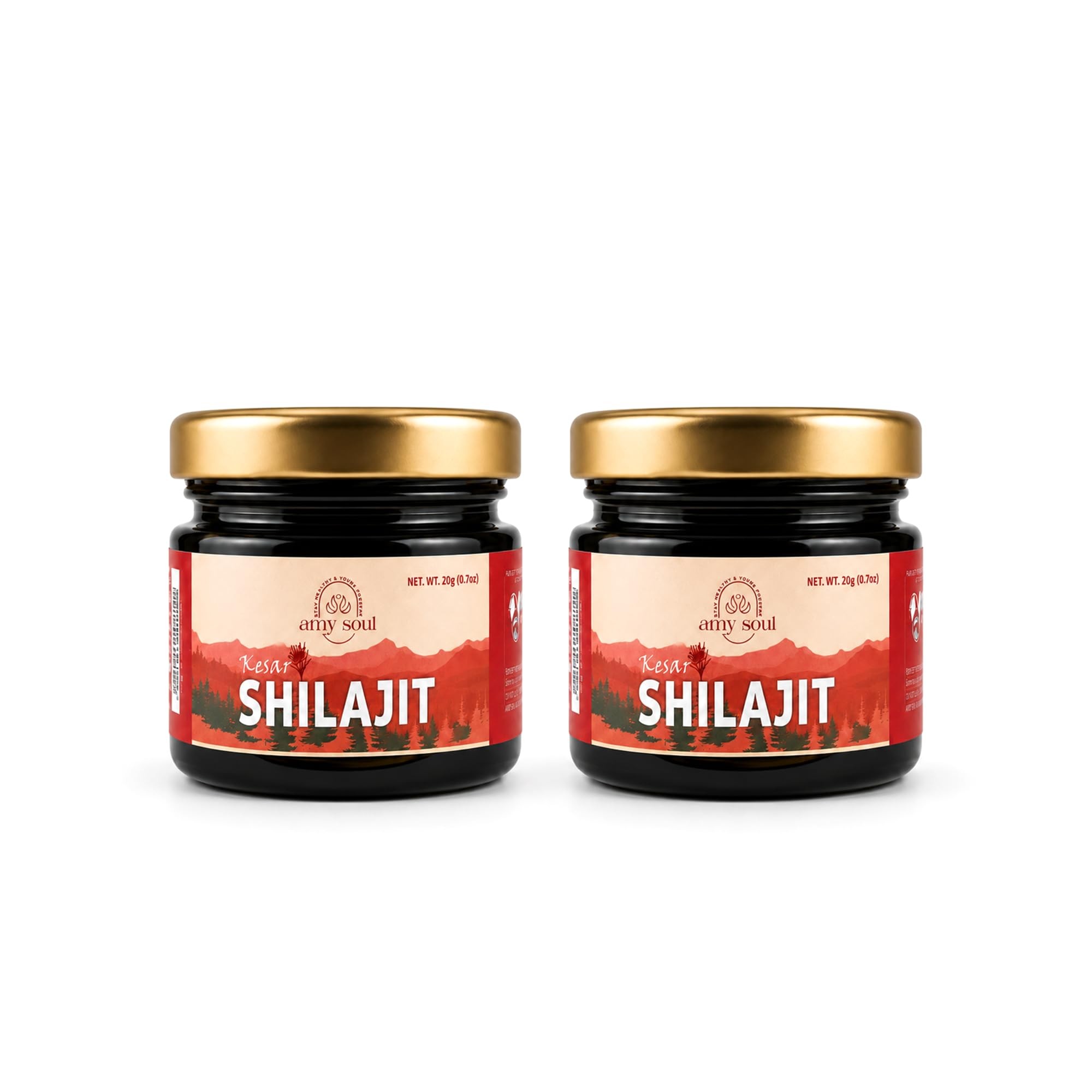 AmySoul Kesar Yukt Shilajit | Premium Ayurvedic Shilajit with Kesar (Saffron) for Energy, Stamina, Strength & Vitality | Daily Wellness Supplement to Support Endurance, Performance and Active Living-picture-29