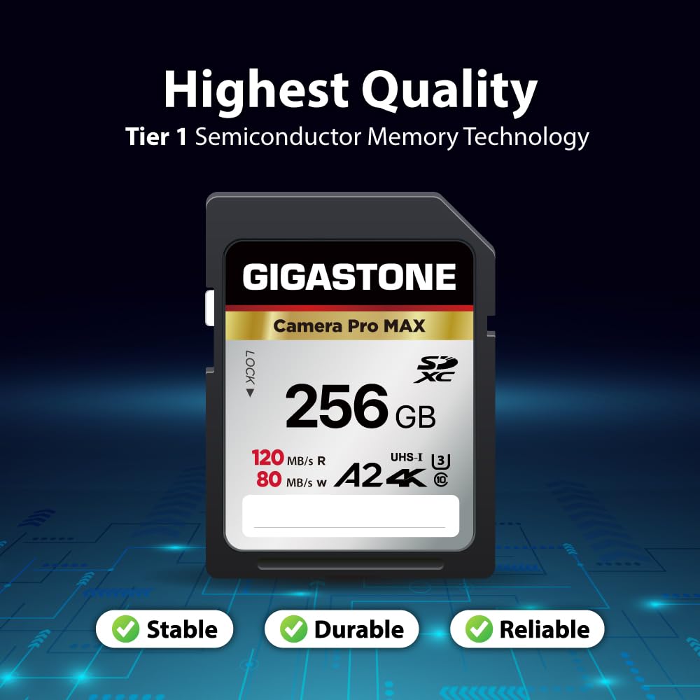 Gigastone 256GB SD-Karte - 100 MB/s Für 4K Videoaufnahmen Mit Kameras