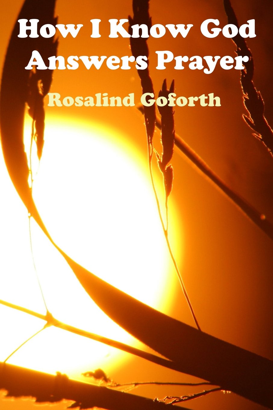 How I Know God Answers Prayer: The Personal Testimony Of One Life-Time