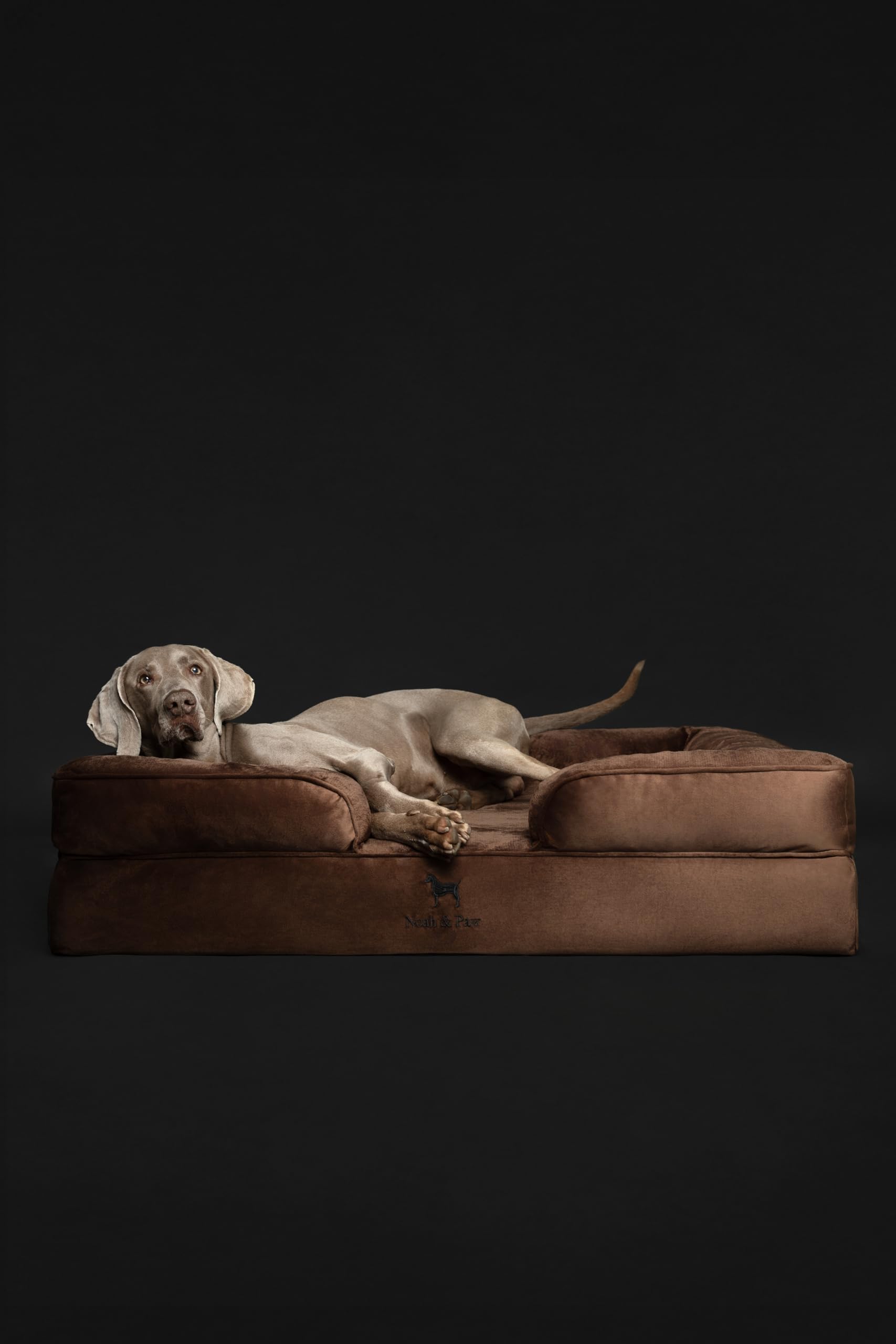 NOAH & PAW XL Dog Bed, 45x35x11 Inch, Orthopedic Large Dog Beds, Eggshell Memory Foam Infused with Cooling Gel, Inner Cover, Waterproof, Machine Washable (Velvet Sofa Collection) - image 6