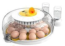 Review Image by Dave 2393 Dave 2393