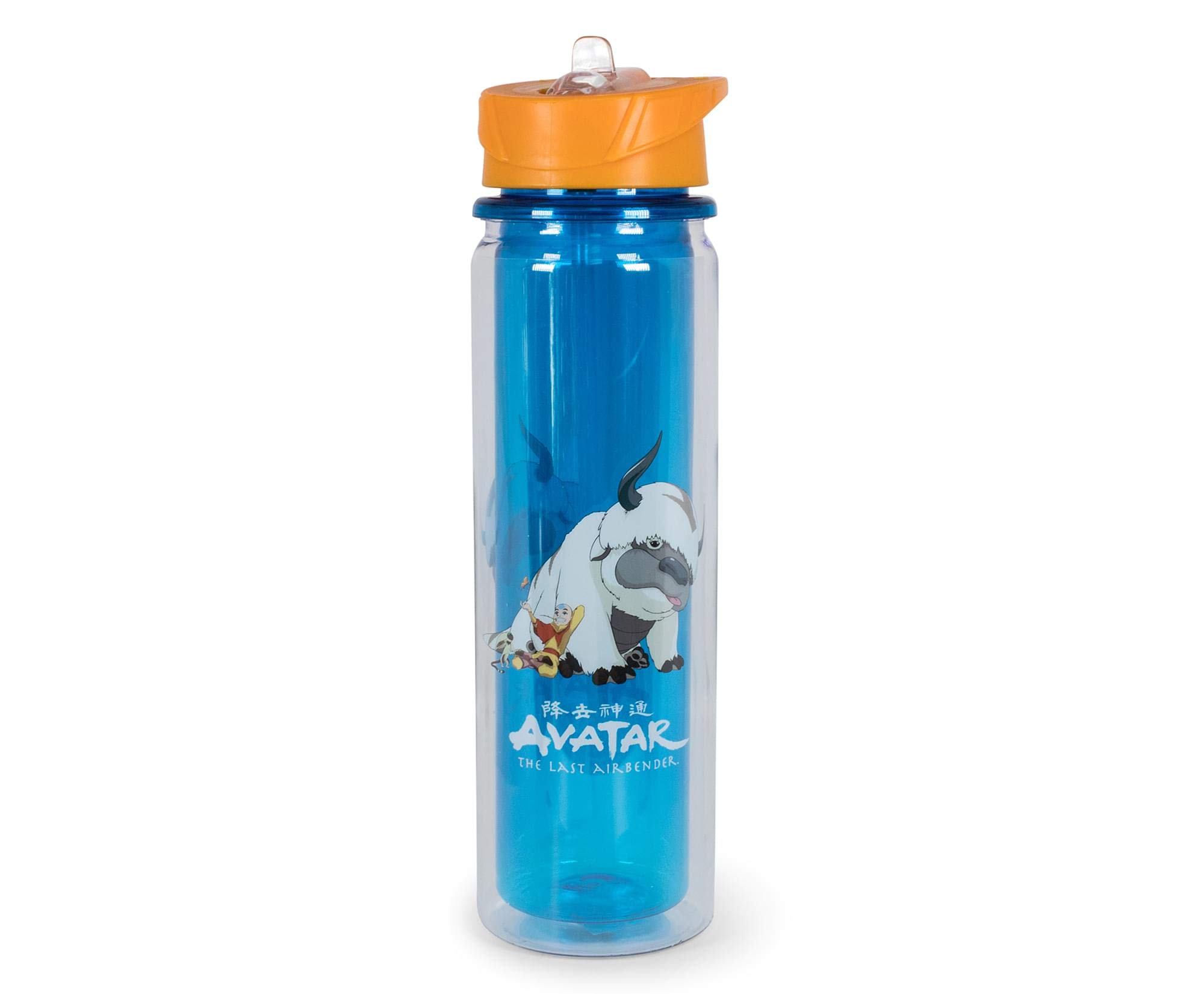 Surreal Entertainment Avatar: The Last Airbender Aang and Appa Water Bottle | BPA-Free Plastic Bottle with Screw Top and Flip-Up Straw Lid | Sports Hydration | Holds 16 Ounces, Blue