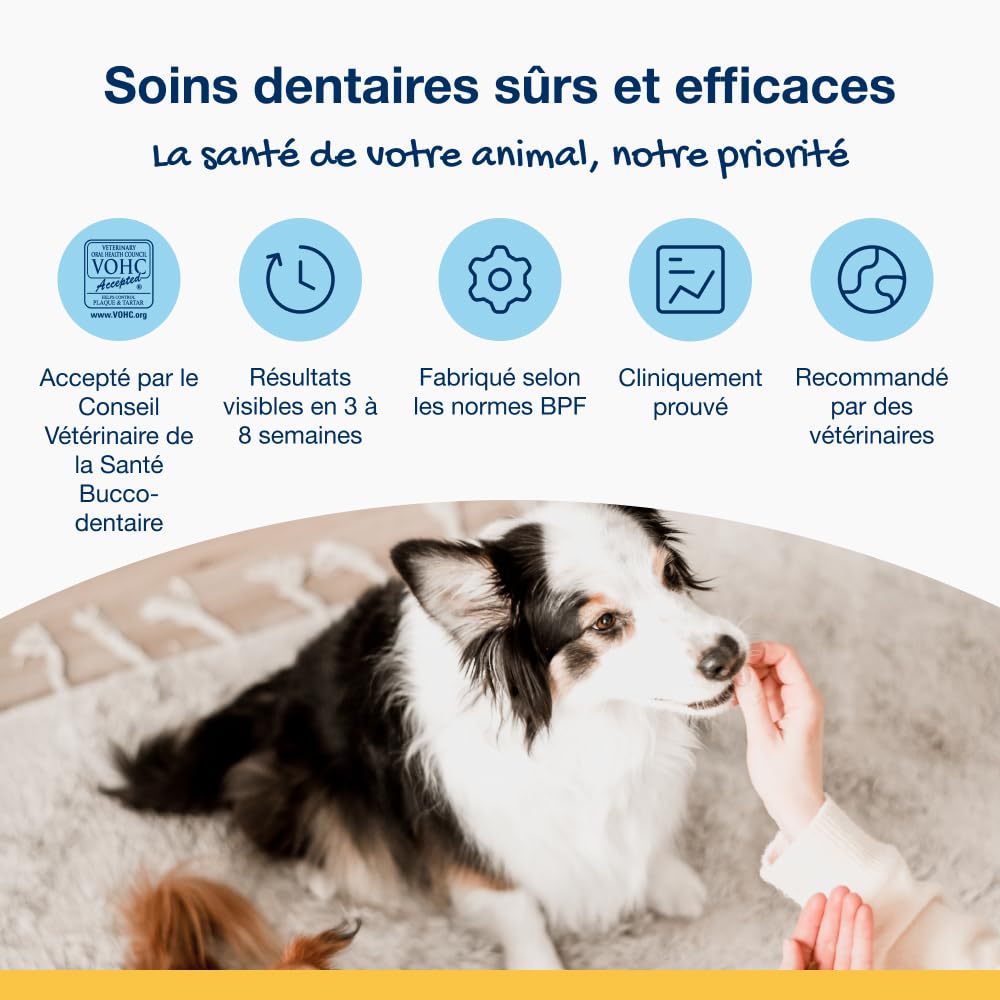 ProDen PlaqueOff Lot Dentaire Chien Poudre 60g et 13 Os à Mâcher au Poulet