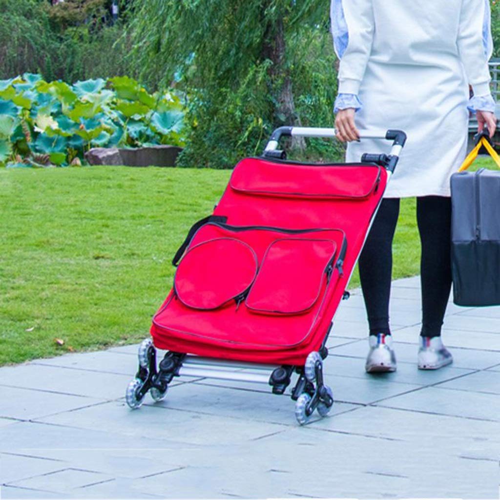 Caballete de metal de una pieza, caballete multifunción para estudiantes y adultos, bolsas de pintura, caballete con ruedas para interiores y exteriores, caballete de dibujo plegable (AA)