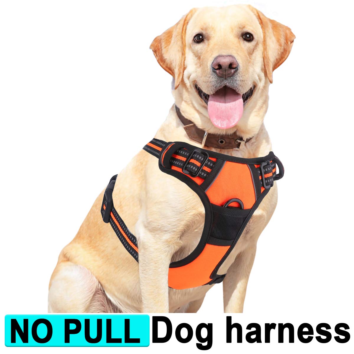 metal dog harness
