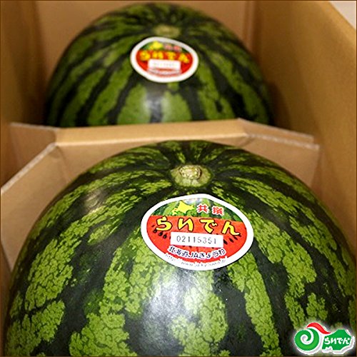 Amazon.co.jp: 北海道産 らいでんスイカ 1玉 (共撰 秀品/1玉 7kg/常温