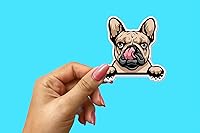 Vista 3 de Peeking - Calcomanías de bulldog francés (paquete de 2) de 4 x 4 pulgadas, calcomanías de vinilo para autos, ventanas de automóvil, botellas