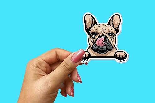 Miniatura 3 de Peeking - Calcomanías de bulldog francés (paquete de 2) de 4 x 4 pulgadas, calcomanías de vinilo para autos, ventanas de automóvil, botellas de