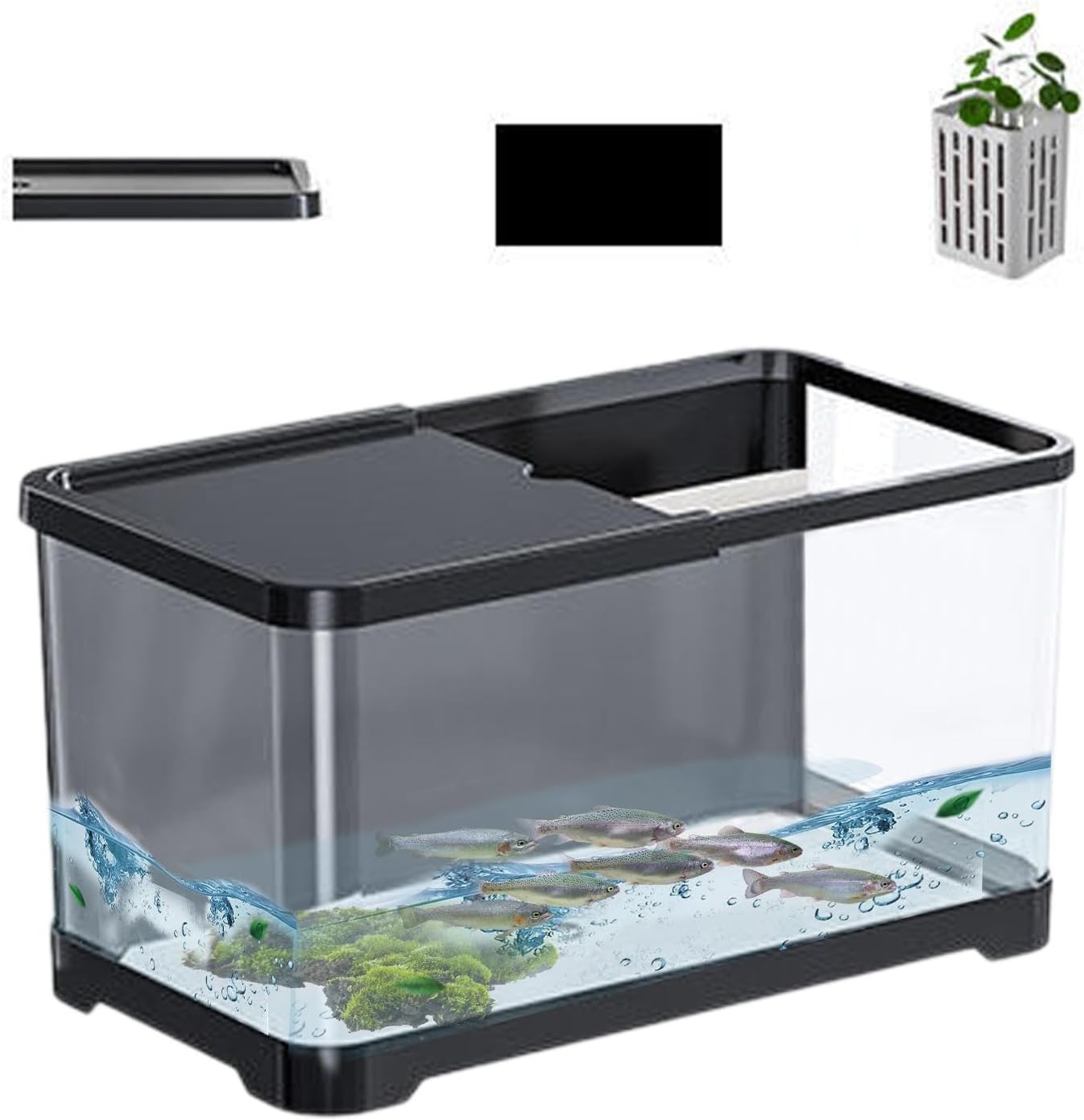 Image showcasing Zestvria Fish Tank Kit - Small Decorative Aquarium for Saltwater or ...