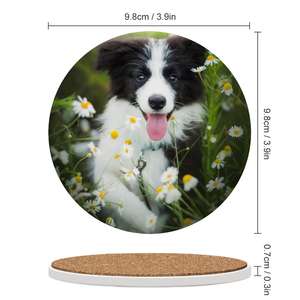 Onderzetters voor dranken Set van 4, Basset Hound Hond Vliegende Oren Ronde Absorberende Keramische Stenen Onderzetter met Kurk Base voor Cup Koffie Mokken, Housewarming Gift