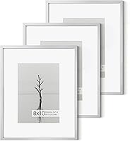 Vista 347 de Fun Memories Portarretratos de metal de 16 x 20 pulgadas con paspartú de 11 x 14 pulgadas, acabado de aluminio cepillado, parte delantera de vidrio