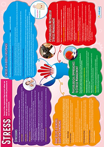 Daydream Education Psychology In Action Posters - Set Of 6 | Psychology Posters | Gloss Paper Measuring 33” X 23.5” | Psychology Charts For The Classroom | Education Charts #TOP4