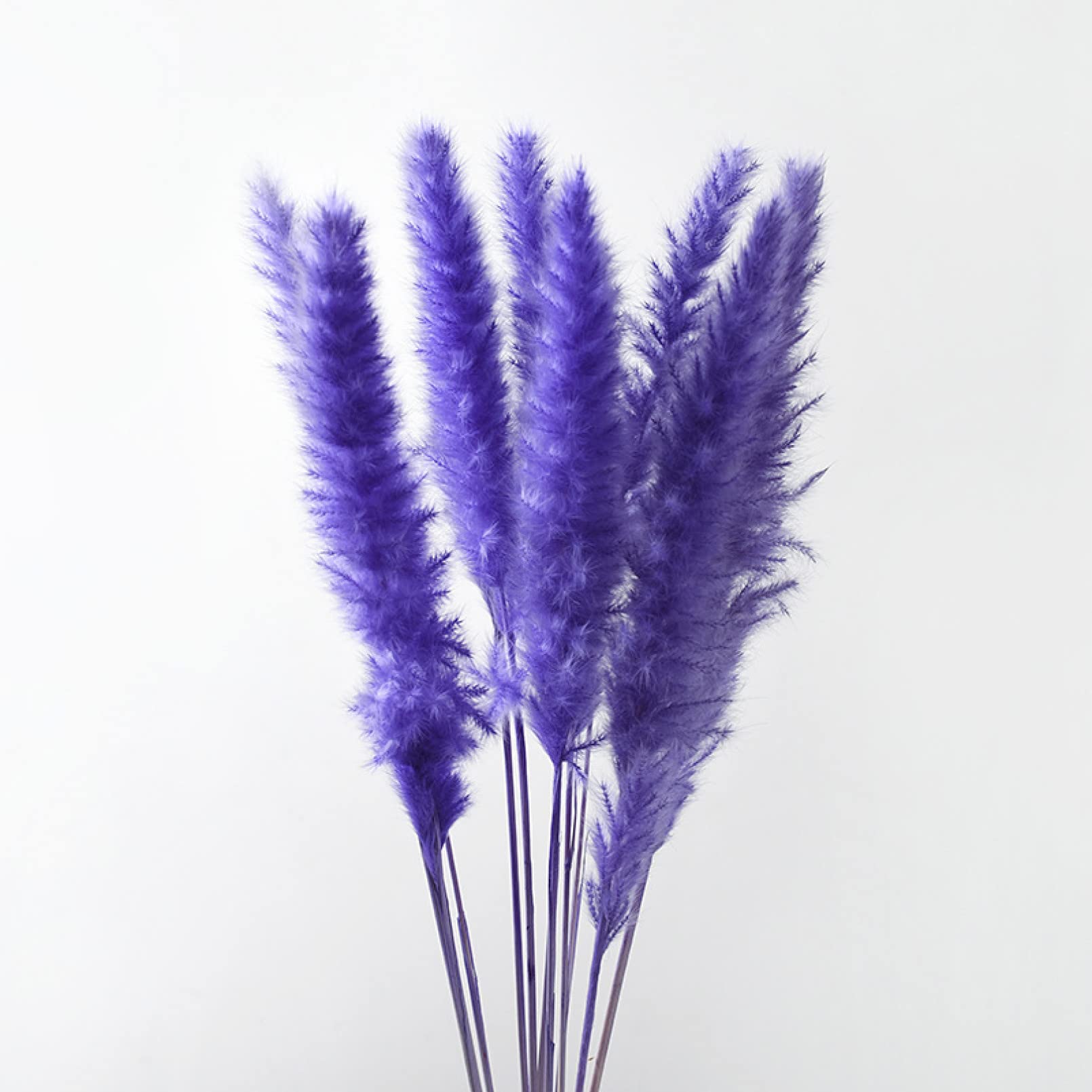Bouquet de Fleurs séchées Naturelles 20 pièces/Ensemble Arrangement Sec Pampa Herbe séchée Roseau Brun Grand pour décoration de Mariage décor à la Maison