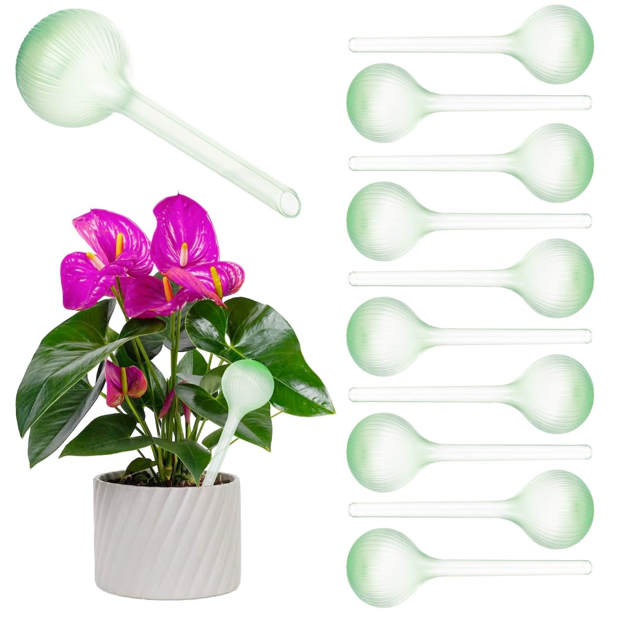 KADAX Bewässerungskugeln 400ml für Pflanzen, 10er Set, automatische Pflanzenbewässerung, Topfpflanzen Selbstbewässerung, Wasserkugeln aus Kunststoff (Grün)