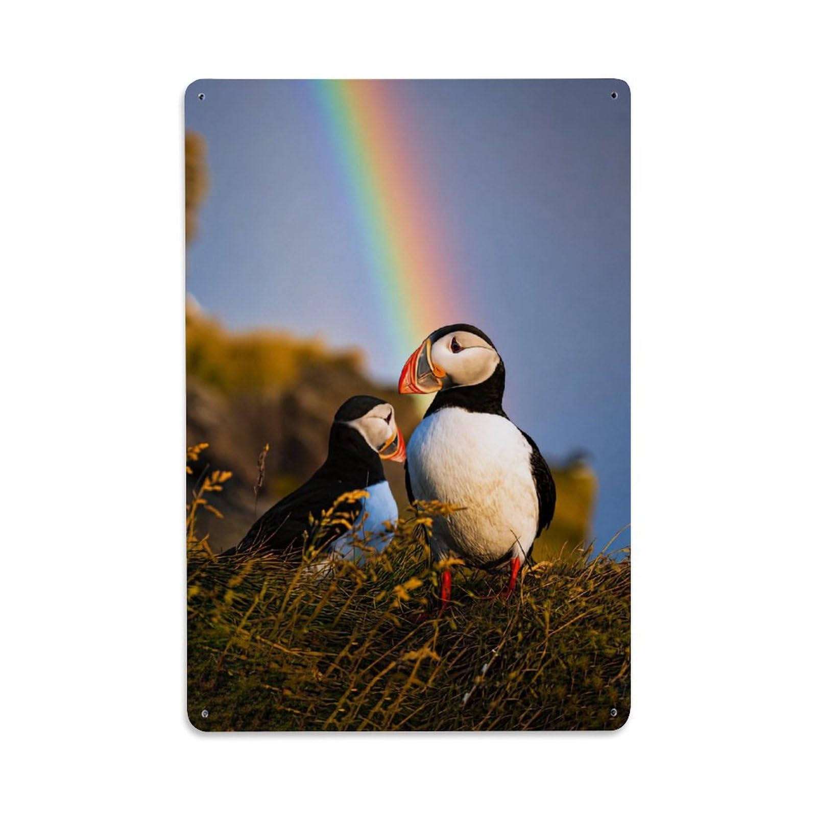 Atlantic Puffin Wildlife Vintage Cliff Habitat Bird Visual Metal Tin Sign Plaque Wall Decor for Cafe, Man Cave, Club Bar, Office, Home Garden Round Metal Poster 8x12Inch