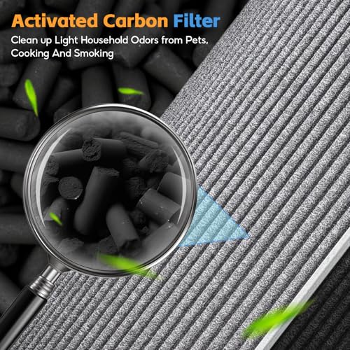 Image of BP03 Replacement Air Filter Set Compatible with Dyson BP03 BP04 BP06 Air Purifier Big+Quiet Formaldehyde Extra Large, 1*HEPA + 2 Carbon Filter, Part# 972132-01 & 972133-02