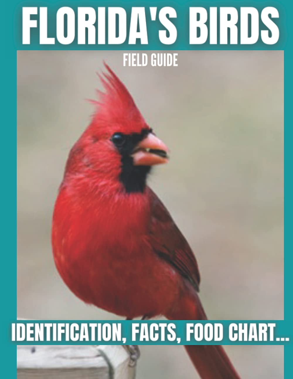 Florida's Birds Field Guide: Identification, Facts, Food Chart...