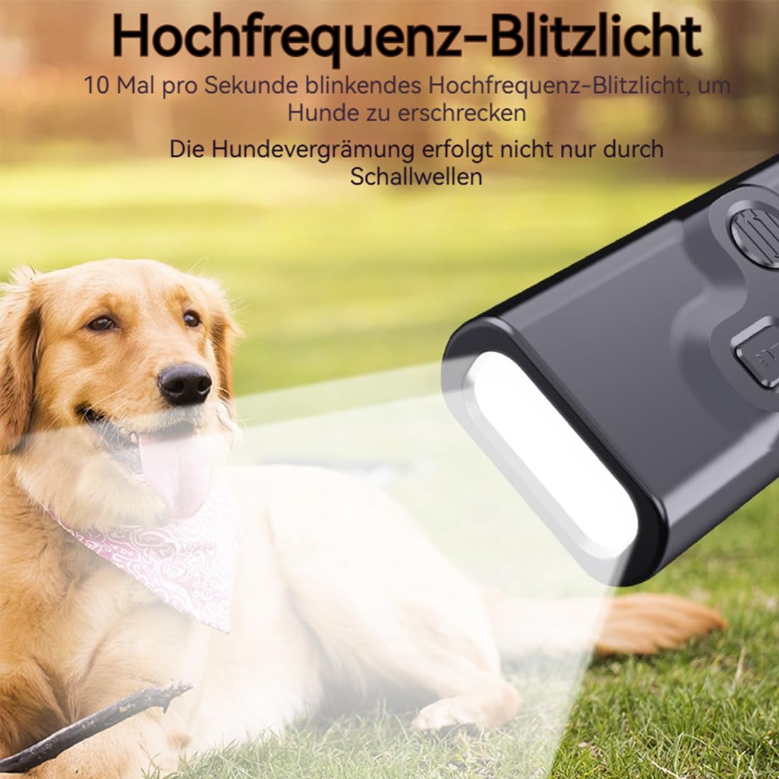 Hundetrainer, Ultraschall-Anti-Bell-Gerät Gegen Hundebellen, Für Ruhe in Haus & Garten, Stoppt Bellen Automatisch Sofort, 3 Modi, USB-Aufladung (1PC-B)