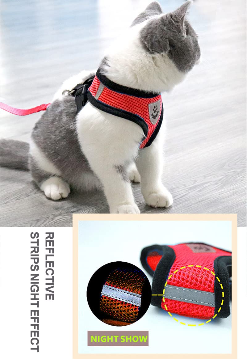 Hundegeschirr Mit Leine – Weiches Mesh-Kissen, Ausbruchsicher, Für Kleine & Große Hunde