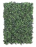 BeautifulWalls Artificial Wall Grass (1 Pc) for Home Decoration, Grass Mat for Wall, Vertical Garden Artificial Plants (Green Design, 60cm X 40cm X 3cm, Plastic, Pack of 1)