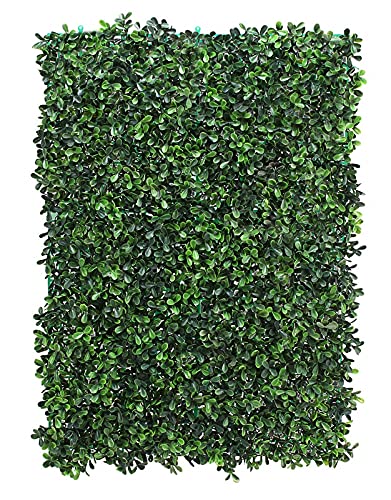 BeautifulWalls Artificial Wall Grass for Home Decoration (1 Pc) I Grass Mat for Wall I Vertical Garden Artificial Wall Plants (Dark Green, 60cm X 40cm X 3cm, Pack of 1)
