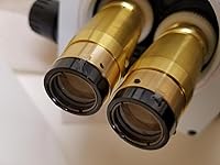 Review Image by Claudia R. Claudia R.