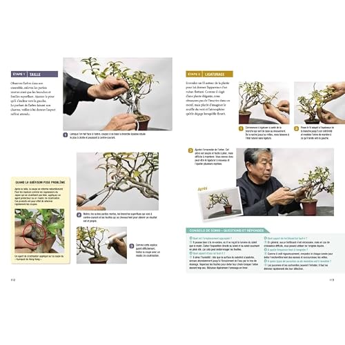 Bonsaï - Leçons et conseils du grand Maître japonais: Techniques essentielles pour cultiver et façonner votre bonsaï – vue 8