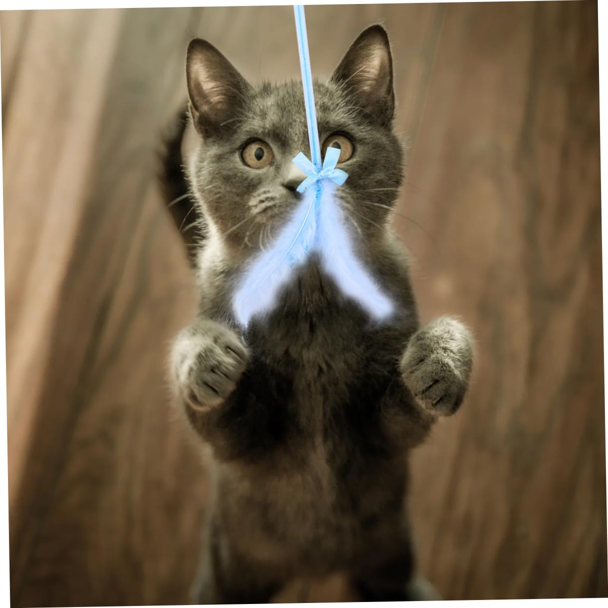Toddmomy 9pièces Jouet Interactif pour Chat Baguette à Plumes Et Clochettes Accessoires Amusants pour Chats De Teasers