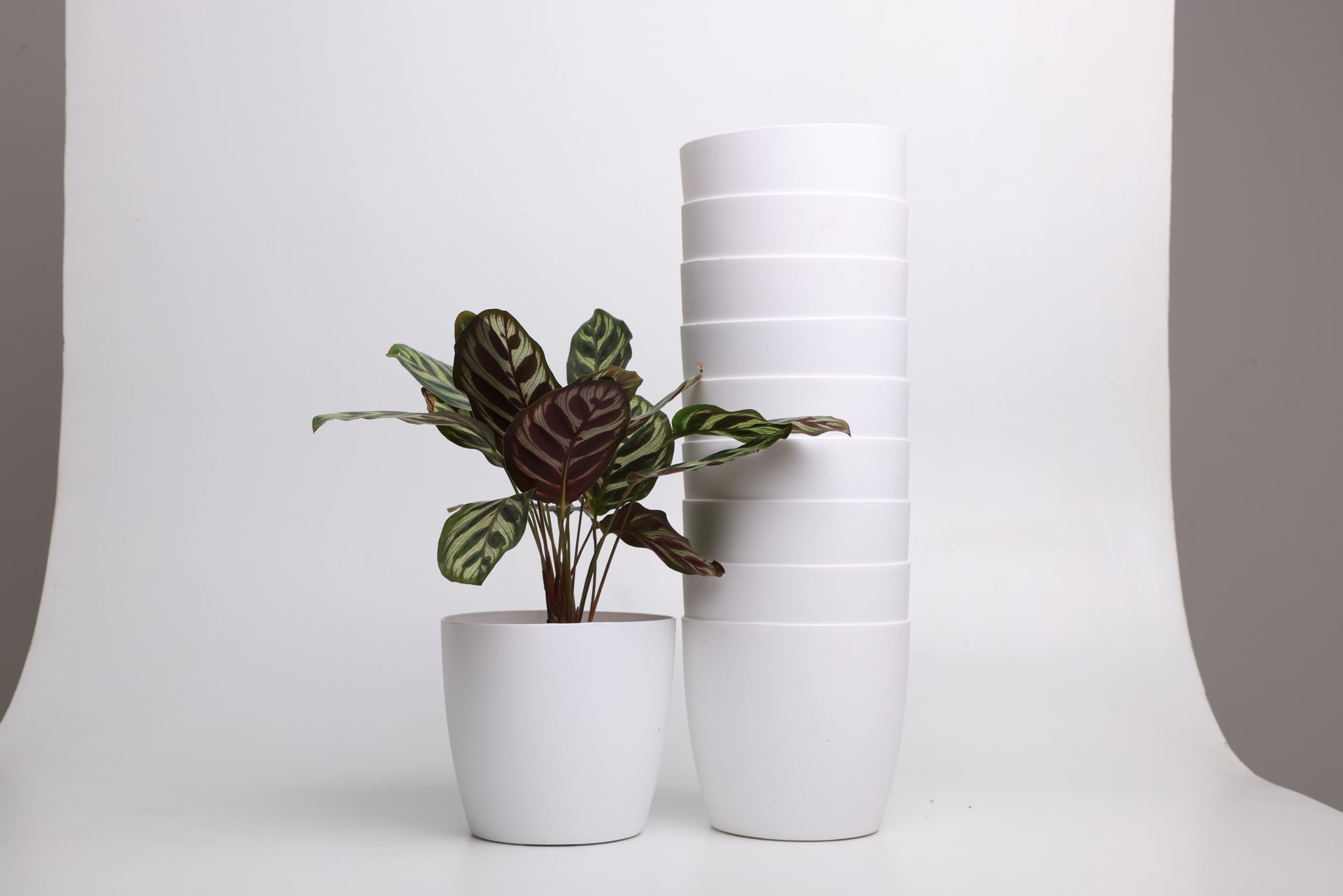 See full amazon price history chart for Tillage-Plastic Flower pots for Gardening, Home Decor Indoor Plants, Small Cactus & Succulent Plants (4.5 inch Size)(Pack of 10) (White) Tillage-Plastic Flower pots for Gardening, Home Decor Indoor Plants, Small Cactus & Succulent Plants (4.5 inch Size)(Pack of 10) (White) (B09PRH9FD9) Amazon Price History, Amazon Price Tracker