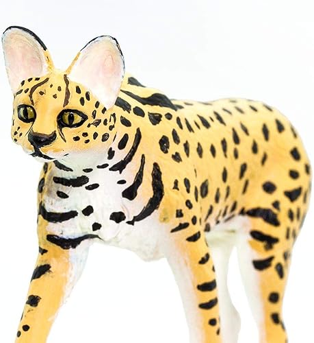 Miniatura 6 de Safari Ltd. Estatuilla Serval  Figura detallada de plástico de 3.75 pulgadas  Divertido juguete educativo para niños, niñas y niños a partir de 3