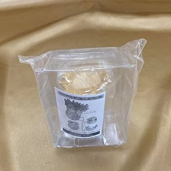未開封　ダージリン 水着ver. 限定版(特別復刻ロングヘアーパーツ付) 1/7 Amazon.co.jp: ダージリン 水着ver 特典 ロングヘアーパーツのみ