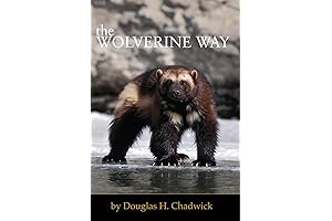 The Wolverine Way: Unstoppable in Mind, Body, and Work