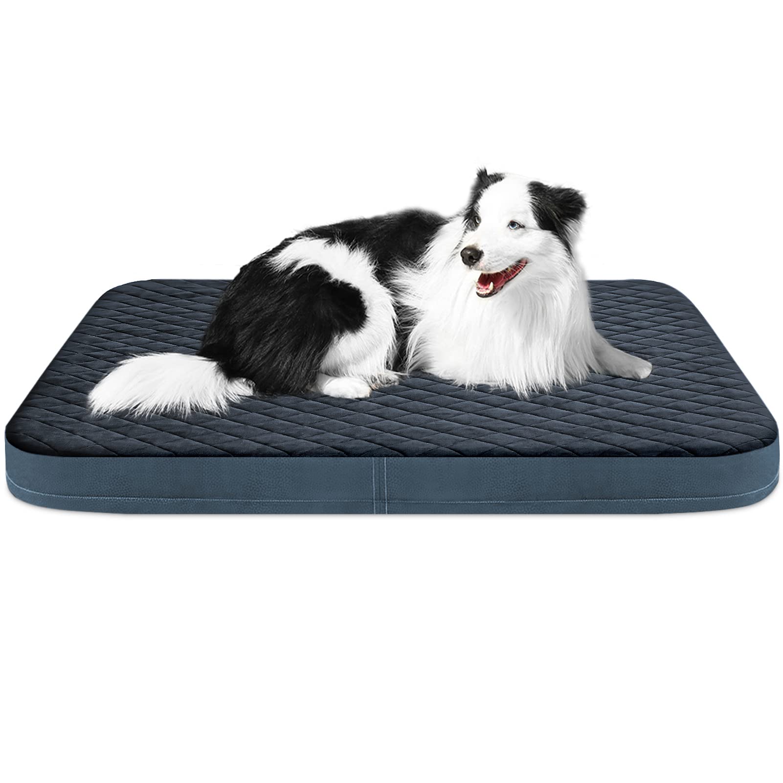 Why Are Dogs Beds High