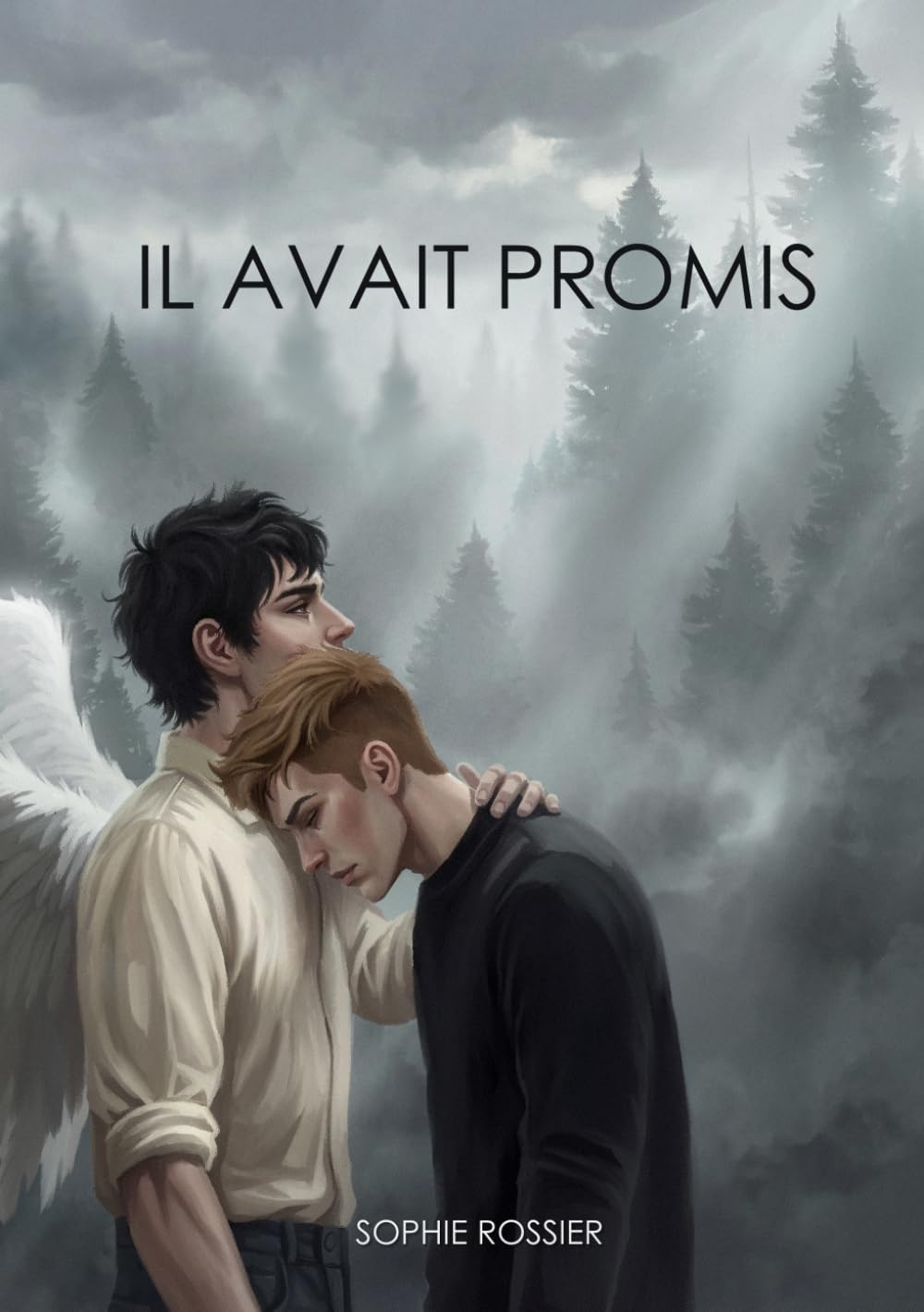 Il avait promis