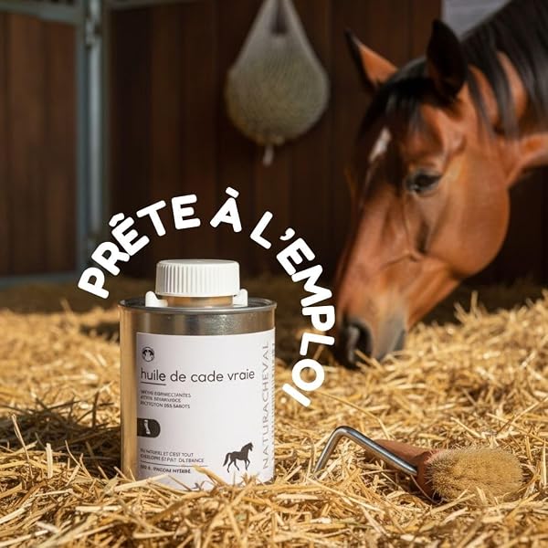 Huile de Cade Cheval – Soin Naturel Peau & Sabots – Entretien Fourchette et Zones sensibles – Action assainissante – Format Liquide prêt à l’Emploi (500, Grammes) - 3