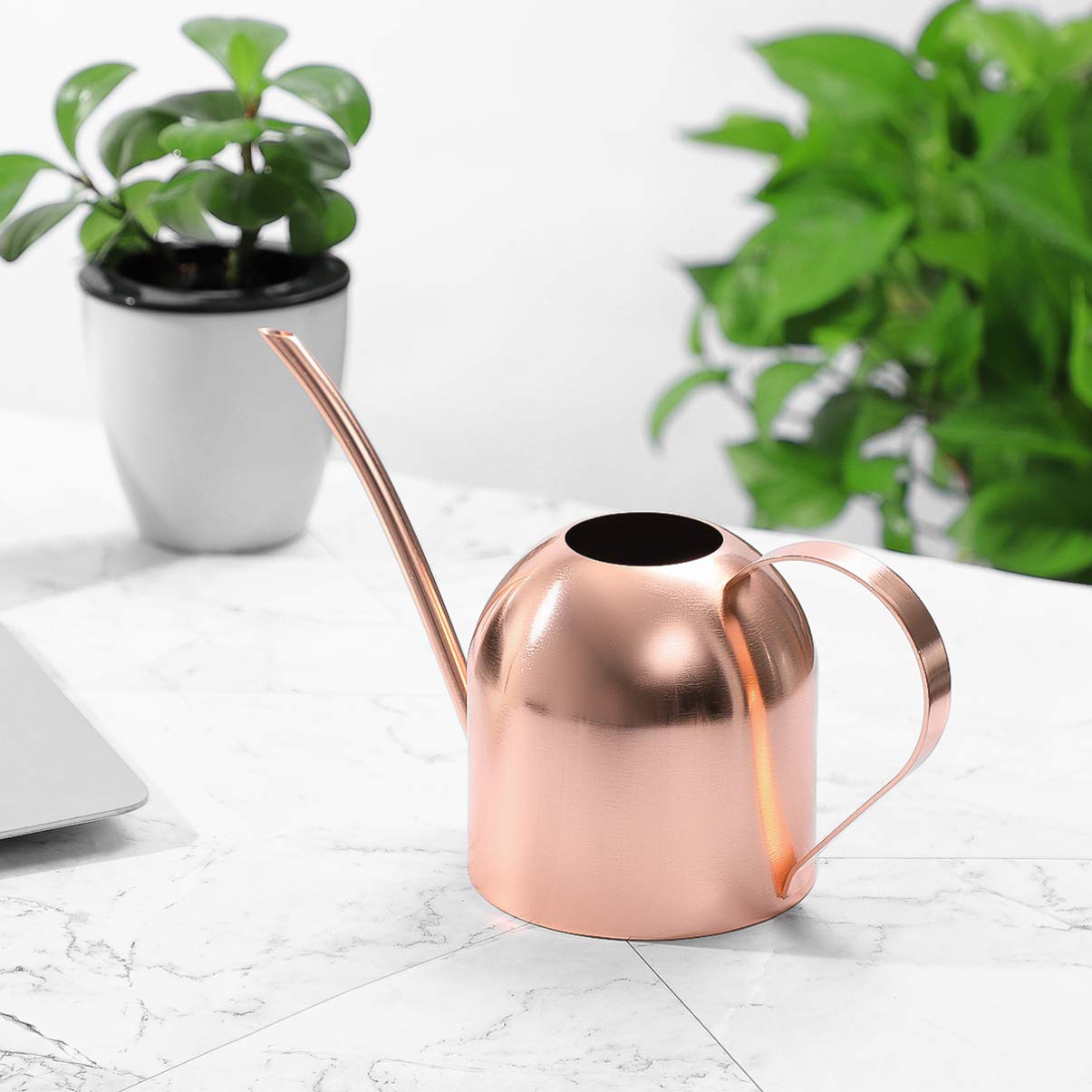 1 arrosoir en Acier Inoxydable pour Plantes d'intérieur ou Plantes d'intérieur - Long Bec - 1000 ML - Petit Pot d'arrosage de Jardin (cuivre)