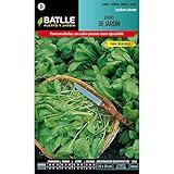 Semillas Aromáticas Semillas de Berro de Jardín