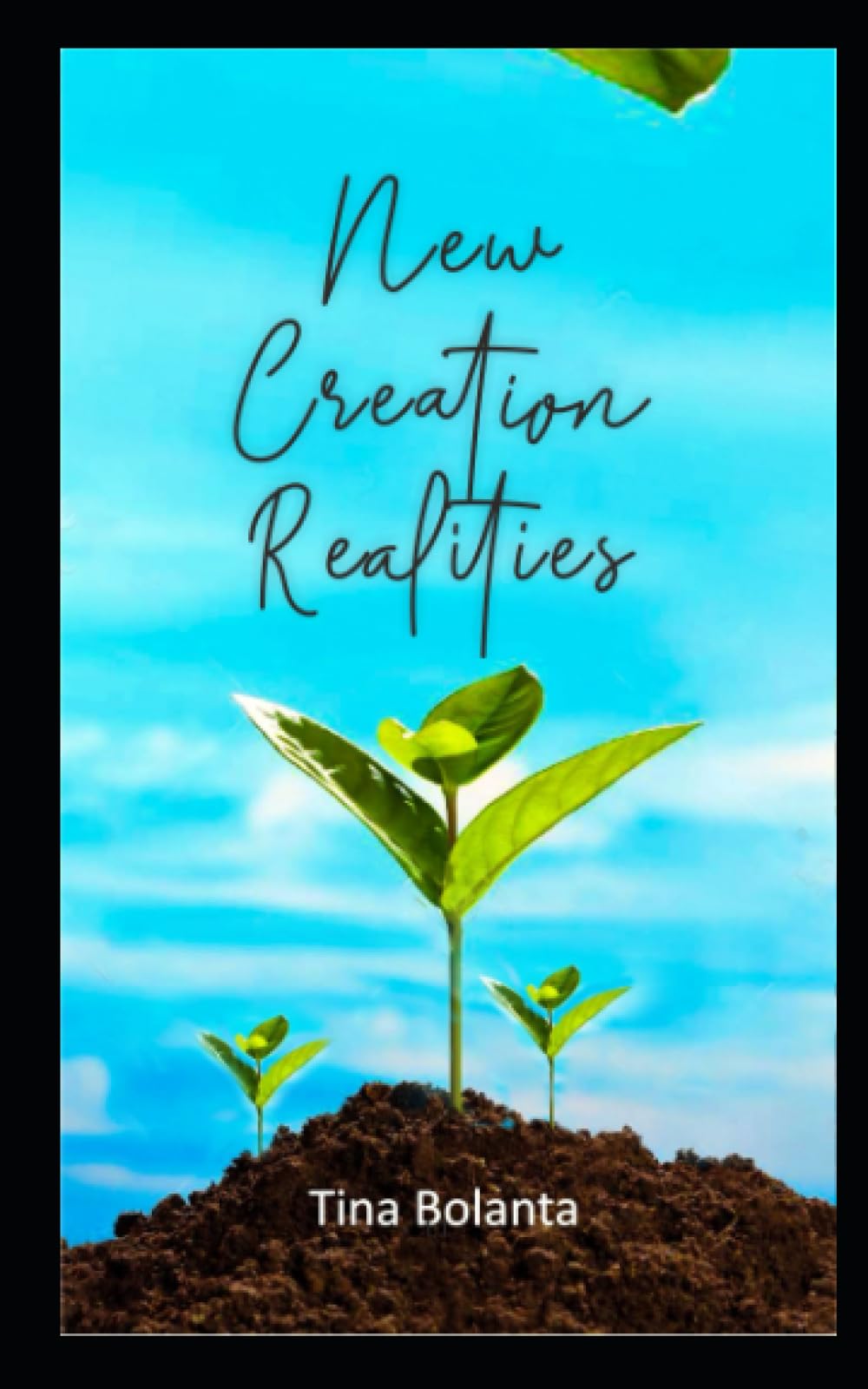 New Creation Realities (New Creation Realities: Growth Series)