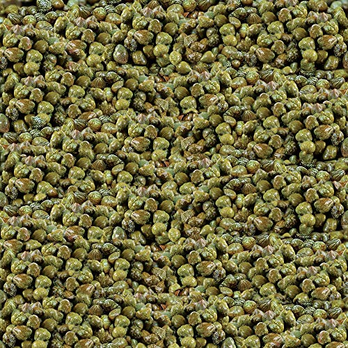 Paesana Non Pareil Capers - 32 oz - Packed in the USA