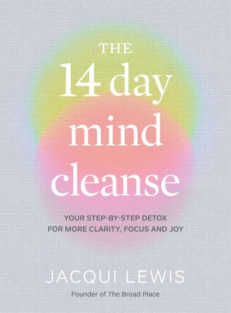 The 14 Day Mind Cleanse: Your step-by-step detox for more clarity, focus and joy