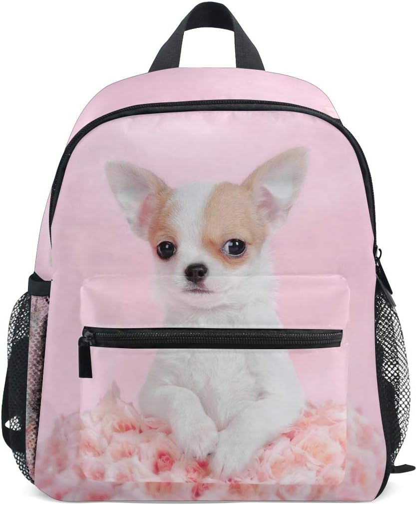 chihuahua backpack