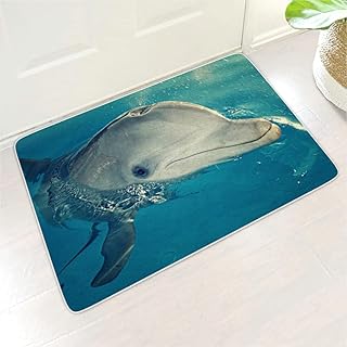 Buweirezhi Wycieraczki Delphin Meer łatwe do czyszczenia, wejście do domu wielokolorowe, 45 x 70 cm